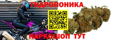 стаф Бузулук