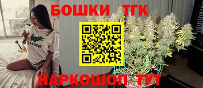 тгк Будённовск