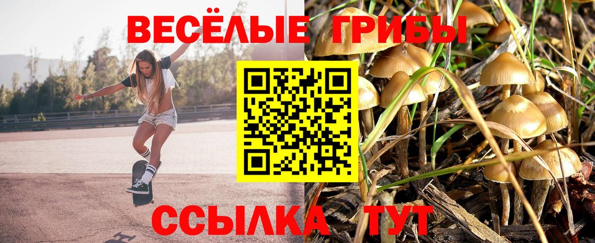 Чебаркуль  Галлюциногенные грибы Cubensis  Вход с VPN 