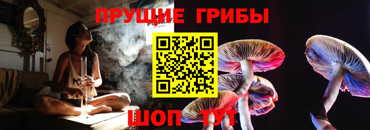 Галлюциногенные грибы Psilocybine cubensis Чебаркуль